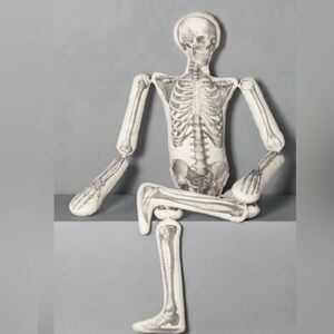 2024 John Derian Skeleton Pillow